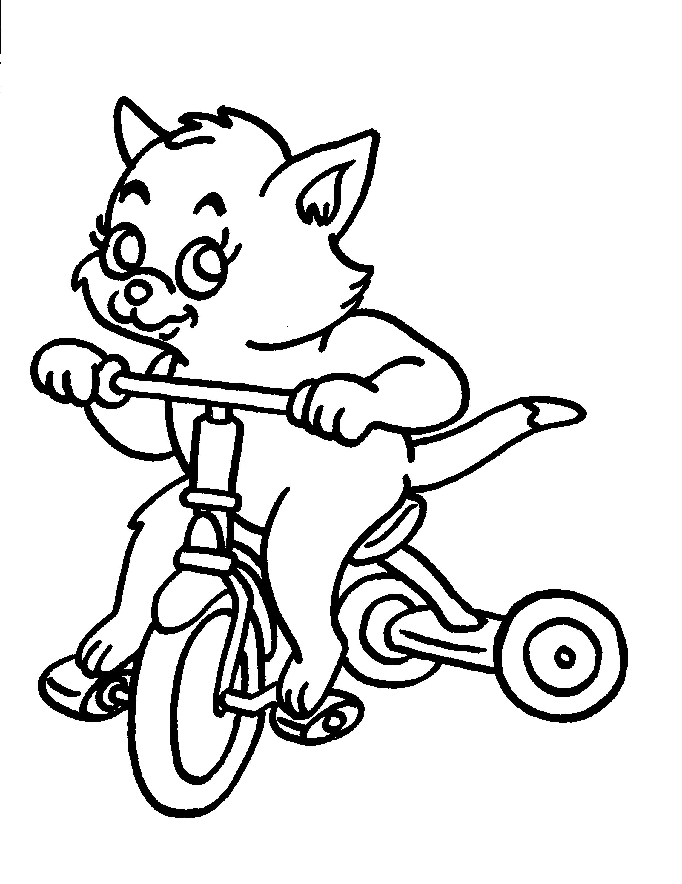 Раскраска Кот на велосипеде